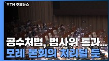 공수처법, 법사위 통과...모레 본회의 처리될 듯 / YTN