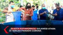 Budidaya Ikan Lele dengan Sistem Bioflog