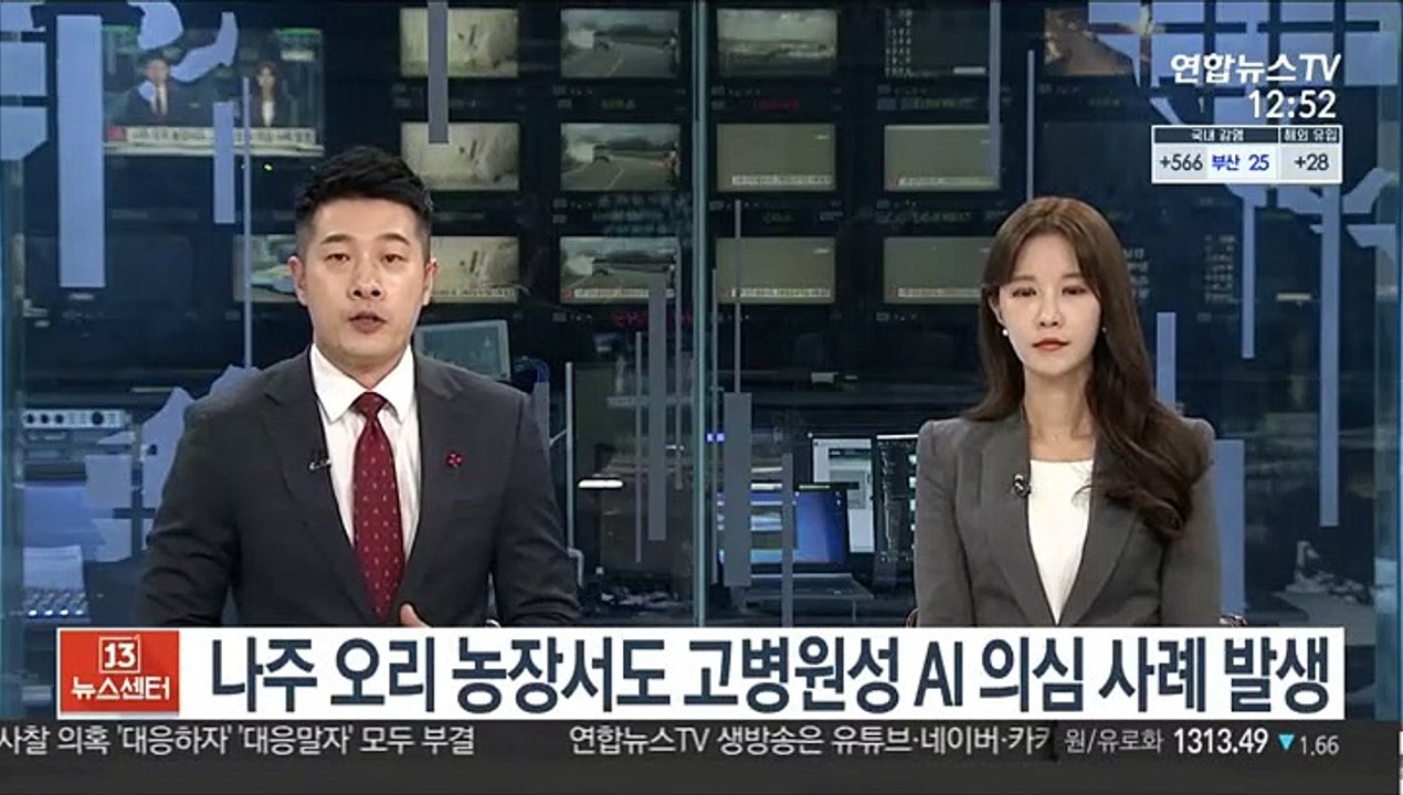 나주 오리 농장서도 고병원성 AI 의심 사례 발생
