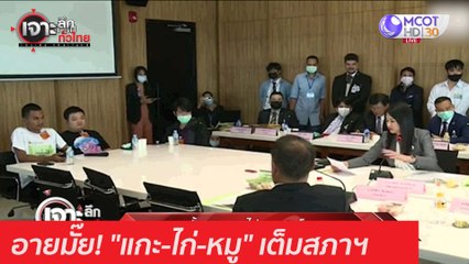 อายมั๊ย! "แกะ-ไก่-หมู" เต็มสภาฯ : เจาะลึกทั่วไทย (4 ธ.ค. 63) ช่วงที่ 1