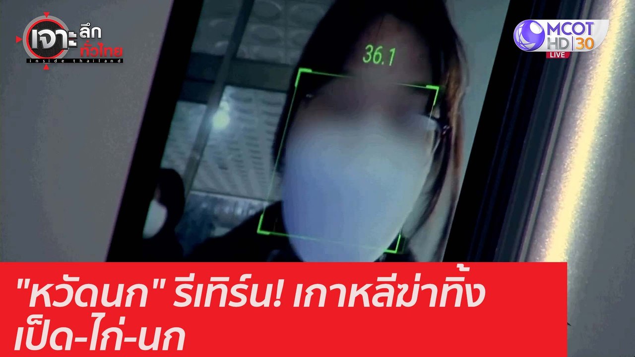"หวัดนก" รีเทิร์น! เกาหลีฆ่าทิ้งเป็ด-ไก่-นก : เ...