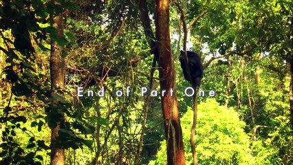 Wildest Indochina E04 Vietnam - Phoenix from the Ashes