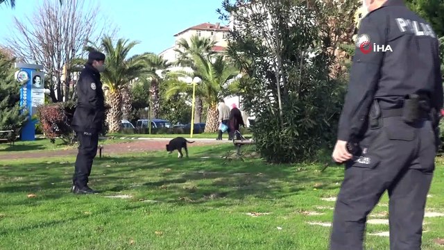 Pitbullu kavgayı polis biber gazıyla ayırmaya çalıştı
