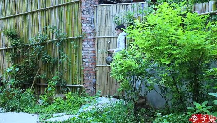 Planté hongos shiitake en la montaña