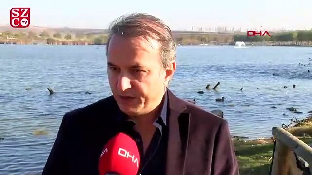 Prof. Dr. Tecer: Trakya'da yer altı sularının yüzde 85'i tükendi