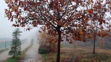 - Manisa güne sisle uyandı