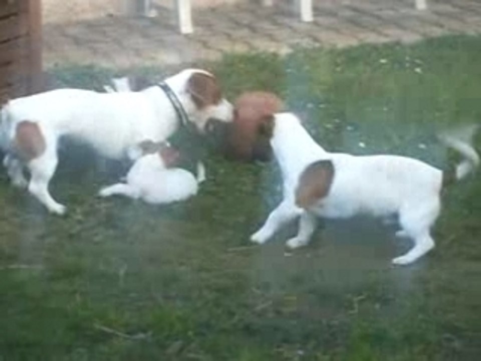 chica et casper