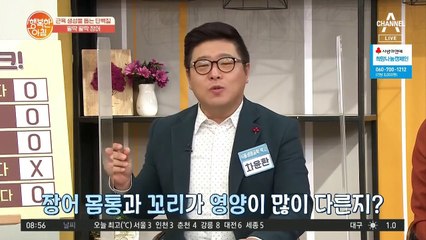 '장어는 꼬리가 영양이 제일 많아~' ← 틀렸습니다.