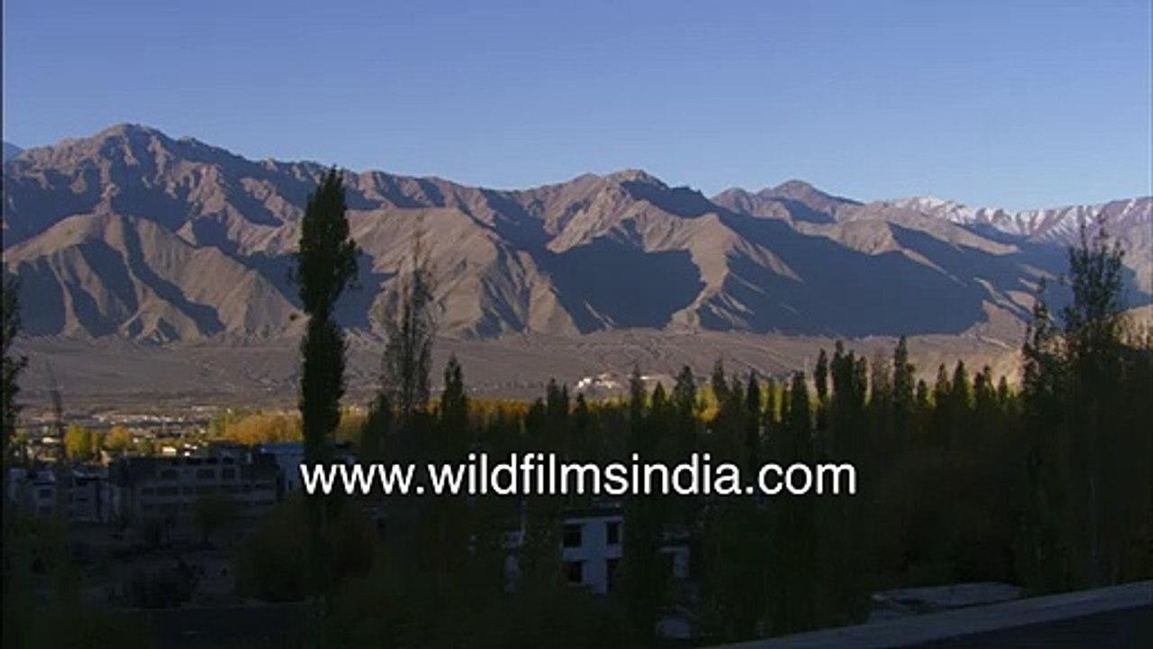 Leh, Ladakh_ Stok Kangri, Buddhist Monasteries, Namgyal Tsemo chapel, Spituk Gompa, Shanti Stupa