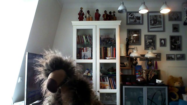 Wiwi muppetshowise kung fu