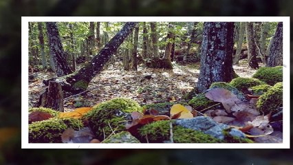 Montemayor del Río, Salamanca (España)