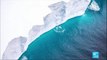 Iceberg on collision course: World's largest chunk of ice heading for wildlife habitat