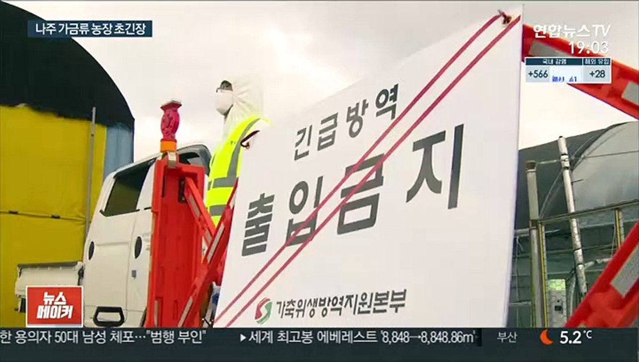 "입이 바짝 마르네요" 나주서도 고병원성 AI 의심