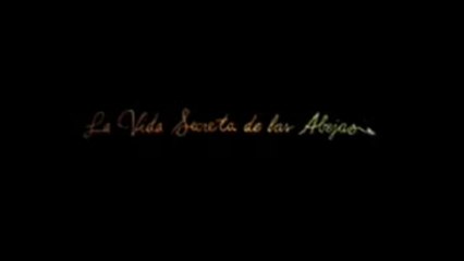 LA VIDA SECRETA DE LAS ABEJAS (2008) Trailer - SPANISH