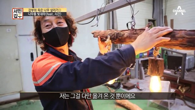 썩은 나무가 작품이 되는 과정, 조명으로 재탄생한 나무