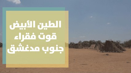 الطين الأبيض قوت فقراء جنوب مدغشقر للتحايل على الجوع