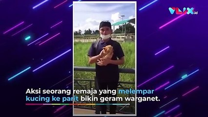 Kelakuan Anak TikTok, Siksa Kucing Demi Konten