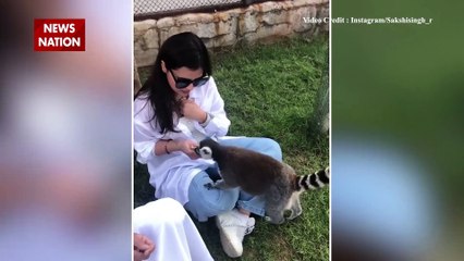 Dhoni’s wife Sakshi Singh fed a tiger baby with milk, fed crocodiles