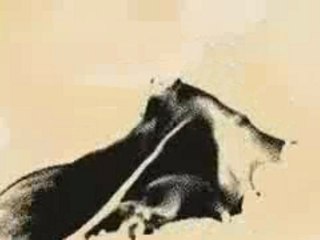 Golden Greats - Rails of Splenda