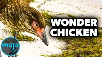 Top 10 Biggest Scientific Discoveries of 2020