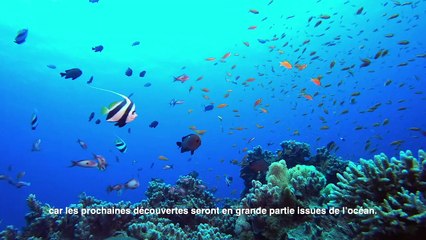 FUN MOOC : L’économie bleue durable, la maritimisation et l’océan