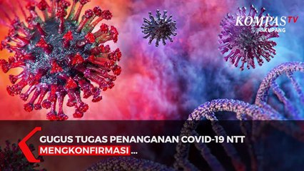 Download Video: Update Corona NTT (Selasa, 08/12): Kasus Kematian Pasien Covid-19 Bertambah 2  Menjadi 29 Orang