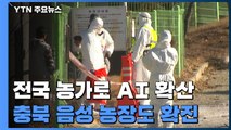 충북 음성 농장에서도 고병원성 AI 확진...전국이 방역 비상 / YTN