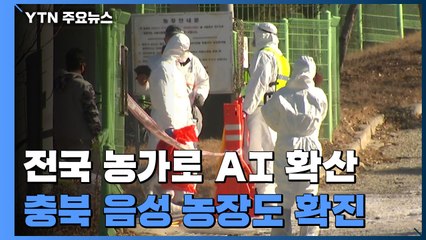 충북 음성 농장에서도 고병원성 AI 확진...전국이 방역 비상 / YTN