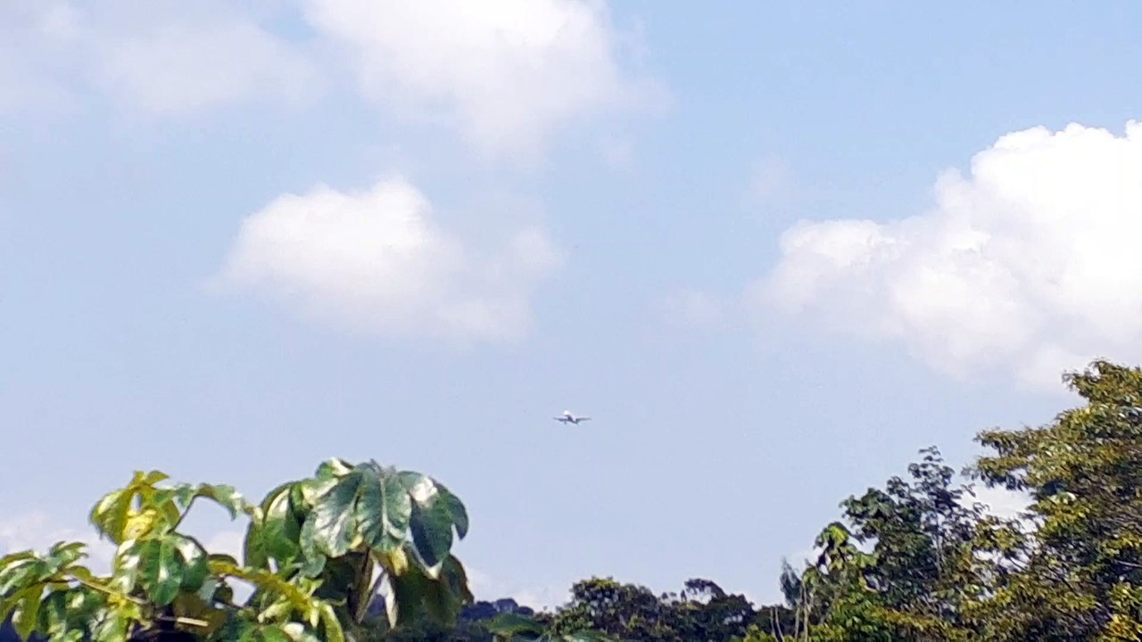 Airbus A321 PT-MXF na aproximação final antes de pousar em Manaus vindo de Guarulhos