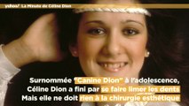 La Minute de Céline Dion