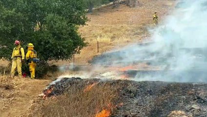 Acordo de Paris completa cinco anos