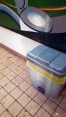 Brixworth Country Park toilet vandalism