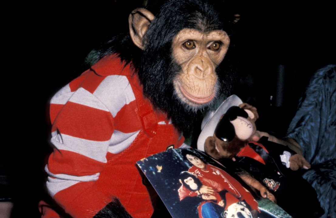 Michael Jackson's chimpanzee Bubbles 'tore apart' his recording studio