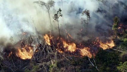 Amazônia perdeu 8% do território em 18 anos