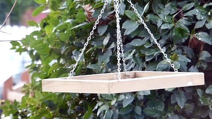 mésanges sur plateau suspendu