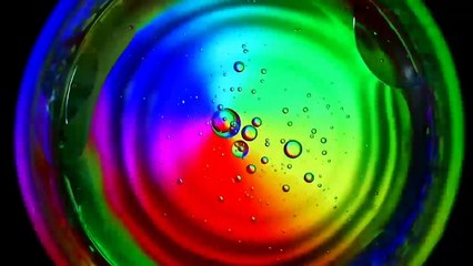 ये चीटियां खड़े रहकर एक दूसरे से क्या बातें करती हैं? | चीटियां सिर्फ लाइन से ही क्यों चलती हैं ? |