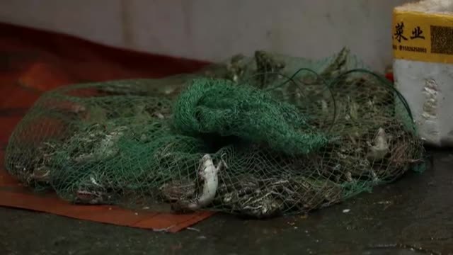 Wuhan vuelve a la normalidad casi un año después del primer caso de coronavirus