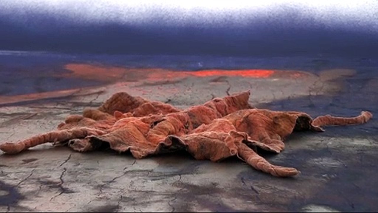 Neu im mumok   Hugo Canoilas. On the extremes of good and evil