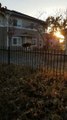 Cat Takes Fence Line to Avoid Mingling with Neighbor