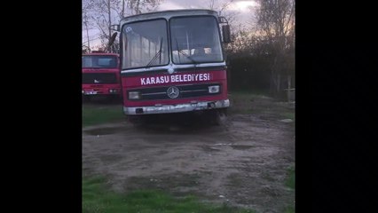 KÖPEKLER AÇLIKTAN BİRBİRİNİ YİYOR İDDİASI