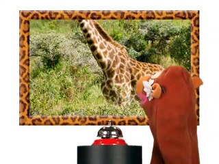 Baby Einstein Classics Season 1 Episode 6 - Wild Animal Safari