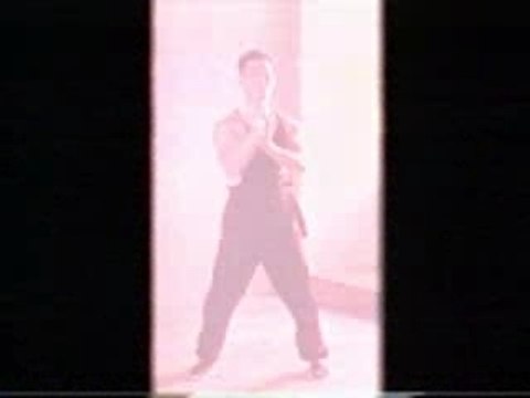 Martial Arts - Kung Fu - Wing Chun - Block Techniques