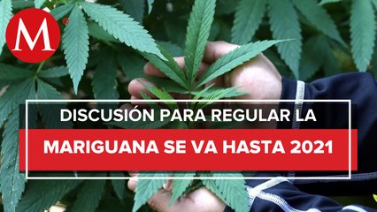 Diputados aplazan hasta 2021 discusión sobre regulación de mariguana