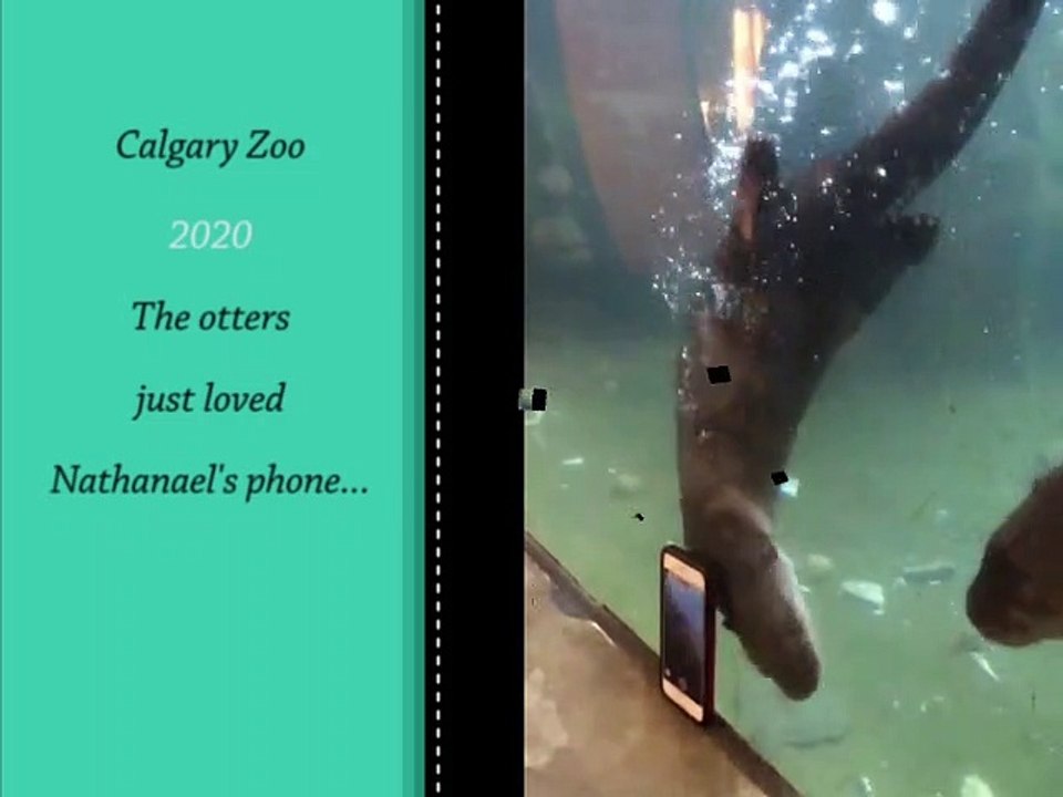 Phone Fascination