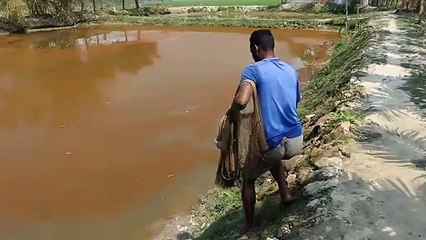 Most Popular Fishing Video - Best Cast Net Fishing With Beautiful Natural (Part-