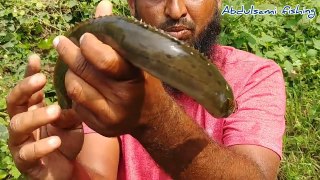 Eel Fish Catching__Baam Fishing__indian Eel Fishing video__Abdul Sami fishing_