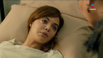 Tierra Amarga Capítulo 221 ¿Quién haría algo así