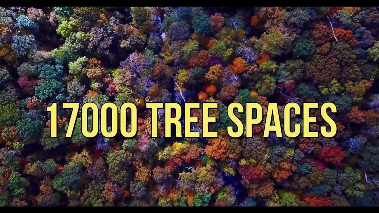 अमेज़न का जंगल का रहस्य आप को हैरान कर देगी_ fact of Amazon rainforest