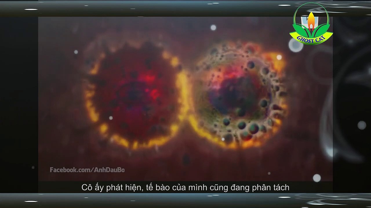 Phim SIÊU PHẨM VIỄN TƯỞNG MỸ 2018: VÙNG HUỶ DIỆT - ANNIHILATION | Kao Review Phim