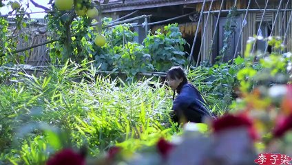 Kumiss y cordero entero asado te hacen sentir como el paraíso